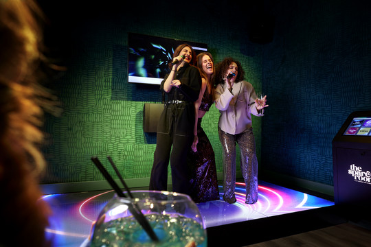 Karaoke - The Mic Drop 